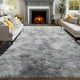 thumbnail image 1 of Area Rug PAGISOFE Alfombra de felpa suave y peluda, 183 x 274 cm, 1 of 9