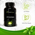 thumbnail image 3 of PuraDyme Amylase Digestive Enzymes, Plant-Based Supplement for Carb Digestion, Bloating Relief and Energy Support, Vegan, Gluten-Free, Non-GMO Capsules (180 Capsules), 3 of 10