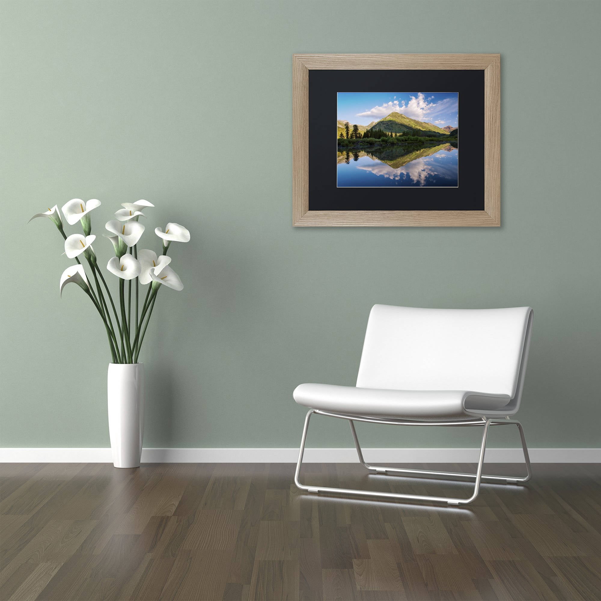Trademark Fine Art "Wings" Canvas Art by Michael Blanchette Photography Black Matte, Birch Frame