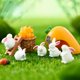 thumbnail image 4 of Conejo DIY micro paisaje jardinería decoración Musgo pequeño animal pastel decoración llavero colgante dibujos animados Pequeño Conejo Blanco, 4 of 6
