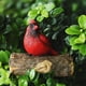 thumbnail image 1 of Estatuilla de cardenal en miniatura, estatua de pájaro de resina en árbol, escultura de jardín al aire libre, arte de patio para decoración para fiesta de Navidad, regalos, 1 of 5