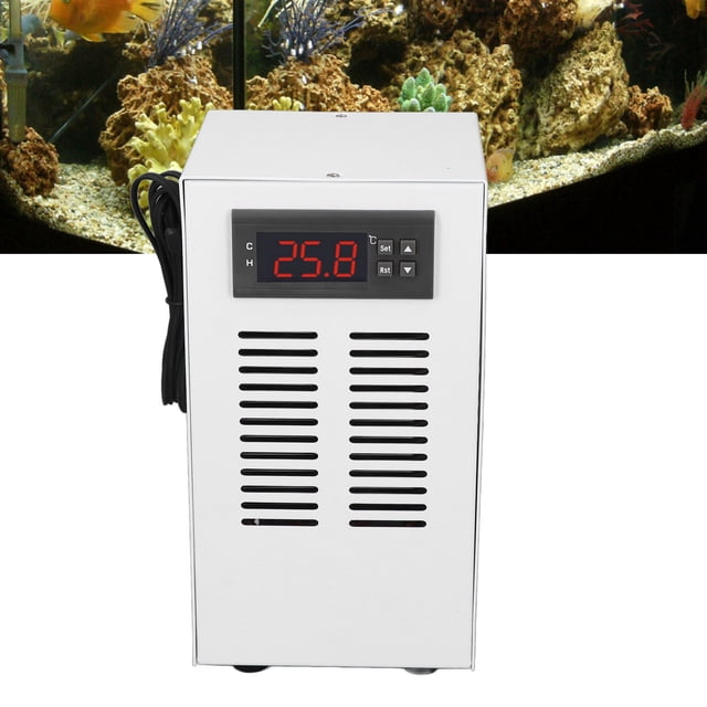 Acuario Chiller 72W 20L De Enfriador De Agua Con Manguera De Agua Y Bomba Y Operación De Bajo Ruido