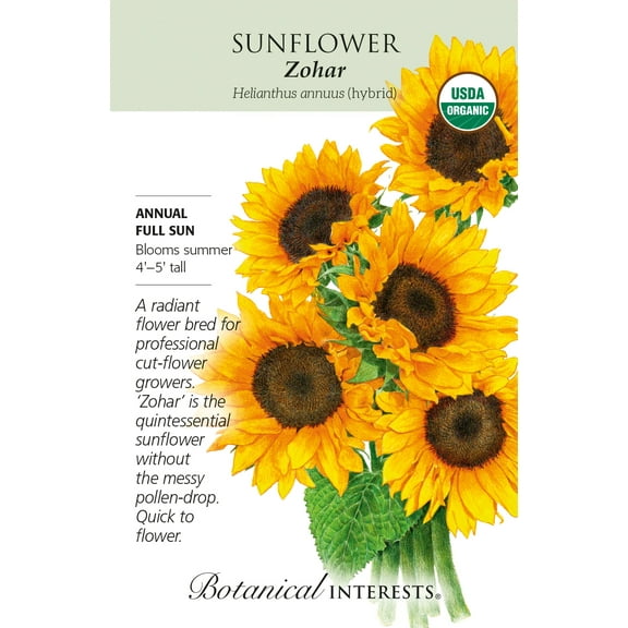 Organic Zohar Sunflower Seeds - 20 Seeds