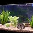 thumbnail image 4 of Miangastore 2 Pcs Creative Hemisphere Fish Shrimp Ceramic Porous House Breeding Nest for Underwater Fish Tank, 4 of 8