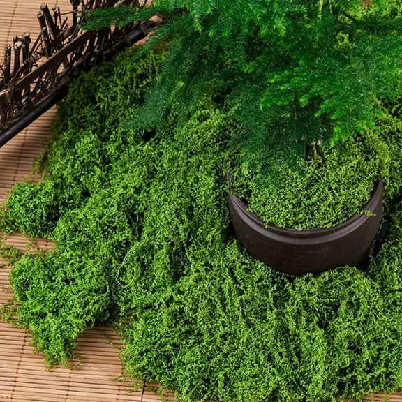Raindrops 1 Bag Artificial Moss For Home Decor And Crafting Artificial Moss For Indoor Plants Moss Centerpieces For Tables Simulation Plant