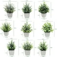 thumbnail image 5 of 1PC Fake Plants Mini Artificial Greenery Potted Plants for Home Decor Office Room Decor Farmhouse Decor Indoor Table Bathroom Decor, 5 of 5