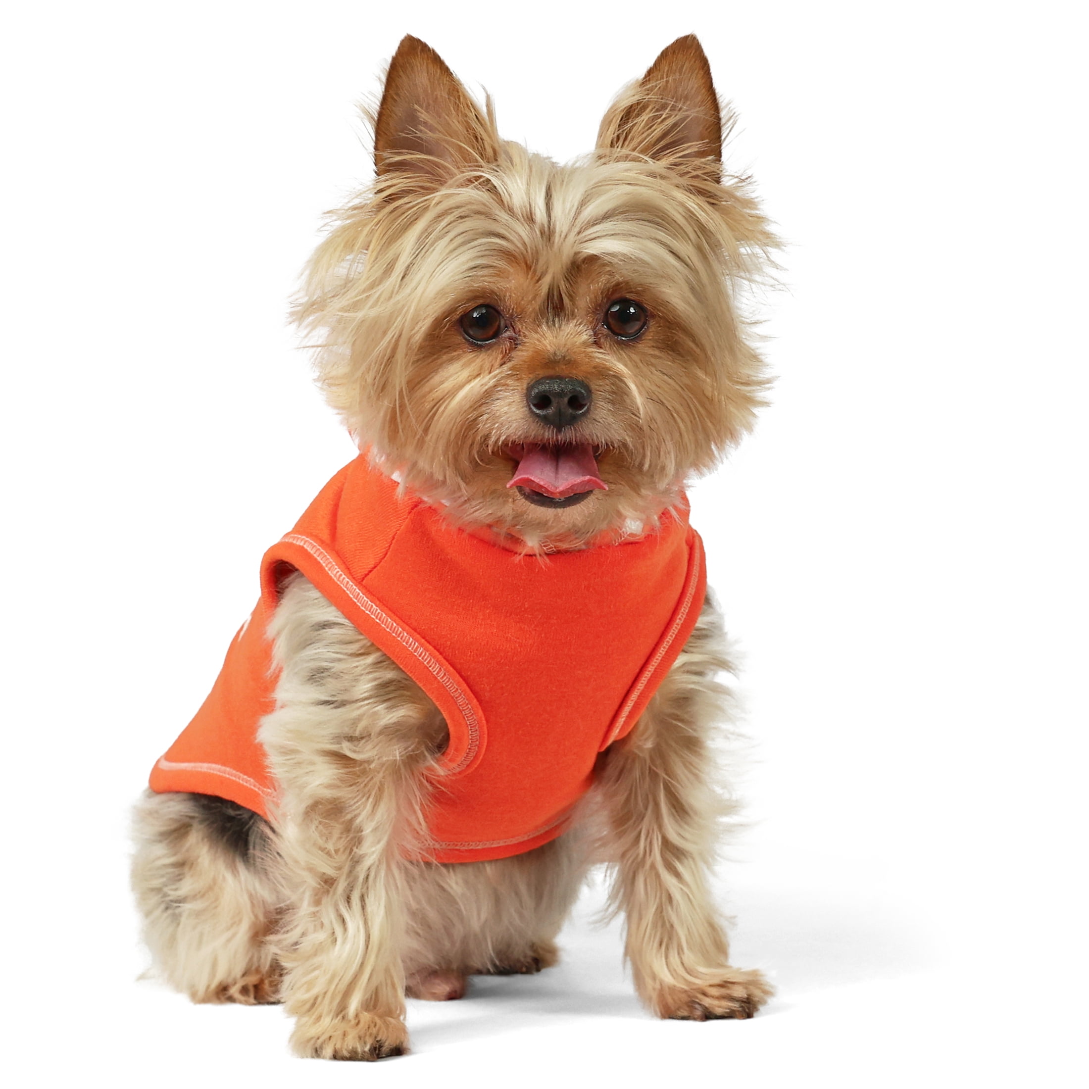 Vibrant Life Spring Pet Hoodie for Cats & Dogs, Fluff Around and Find Out, Orange, XS