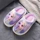thumbnail image 3 of Zapatillas de algodón para niñas de Frozen, para otoño e invierno, para niñas de talla mediana y grande, cálidas, de princesa Elsa, 3 of 5