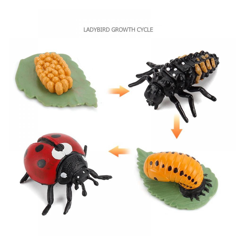 Naturalour 4 PCS Farm Animals Life Cycle of Chicken Rooster Spider  Mosquito, Plastic Food Chain Animal Figures Toy Kit Educational School  Project 