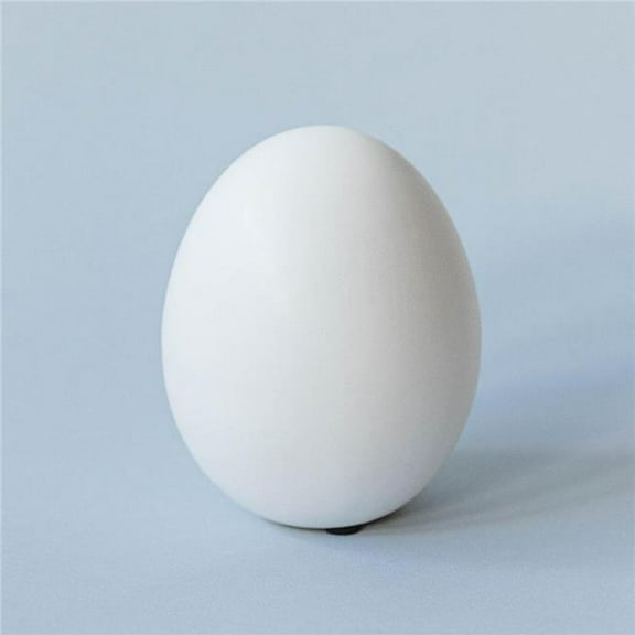 MDR Trading Inc. FP-ECX-175-WM_Q01 Matte White Ceramic Egg Figurine