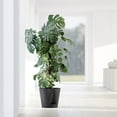 thumbnail image 4 of Ecopots Venice 2 Durable Modern Round Indoor/Outdoor Recycled Based Composite Flower Pot Planter w/ Water Reservoir, Dark Grey, 16", 4 of 4
