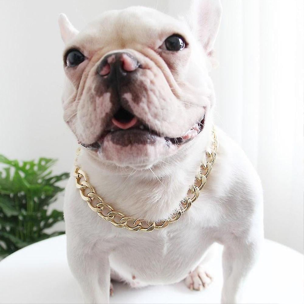 Dog photo necklace hot sale