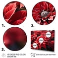thumbnail image 3 of Designart "Red Poinsettias landscape I" Floral Canvas Print, 3 of 5