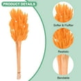 thumbnail image 2 of Uxcell 180-Pack Bunny Tails Grass 17 Inch Fluffy Rabbit Tail Grass Dried Flowers for Home/Wedding [Orange], 2 of 2