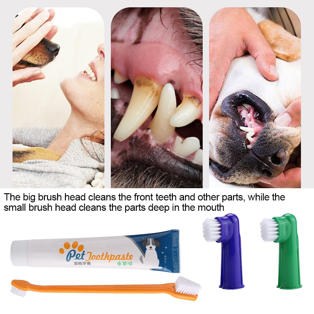 Dog gingivitis toothpaste 2025