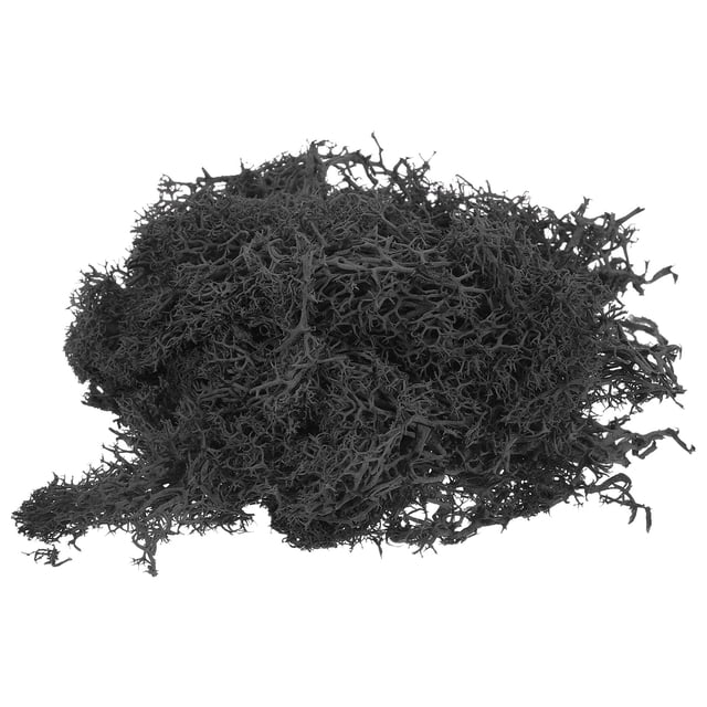 Unique Bargains 3.5 OZ Moss Preserved Moss Artificial Moss for Craft Floral Project Table Decor Black