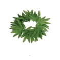 thumbnail image 5 of Beistle 57409 Tropical Fern Leaf Headband - Pack of 12, 5 of 6