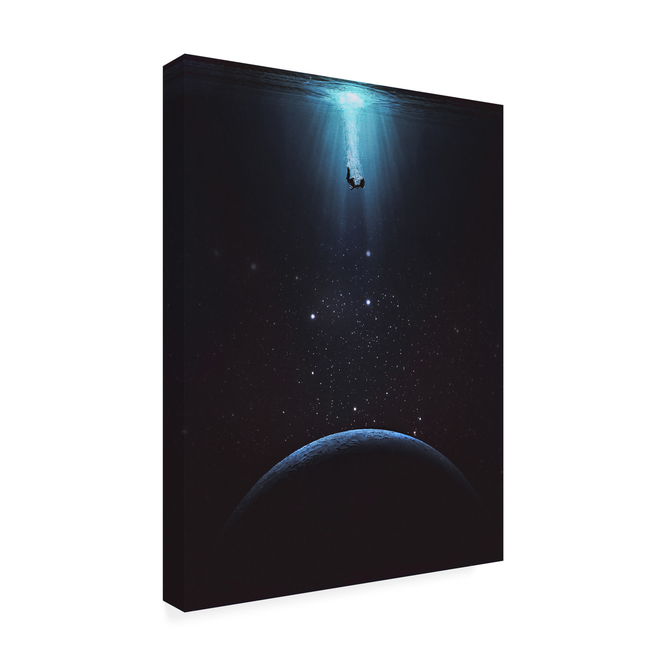 Trademark Fine Art spacerocket art  101 Canvas Wall Art