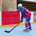 thumbnail image 4 of Ice Hockey Durable Abs Roller / Practice Puck, 4 of 4