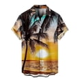 thumbnail image 2 of Camisas de cocotero 2024 para hombre, camisa hawaiana con estampado 3D para hombre, camisetas de playa de manga corta 6xl, camisetas de moda, blusa Mal Camisa, 2 of 5