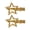 Golden, variant on Fvsianol Side Hair Clips Bangs Clips Hairpins Star Shape Hollow Out Solid Color Metal Stainless Non slip Elastic Strong Claw Polished Lightweight Bangs Clips