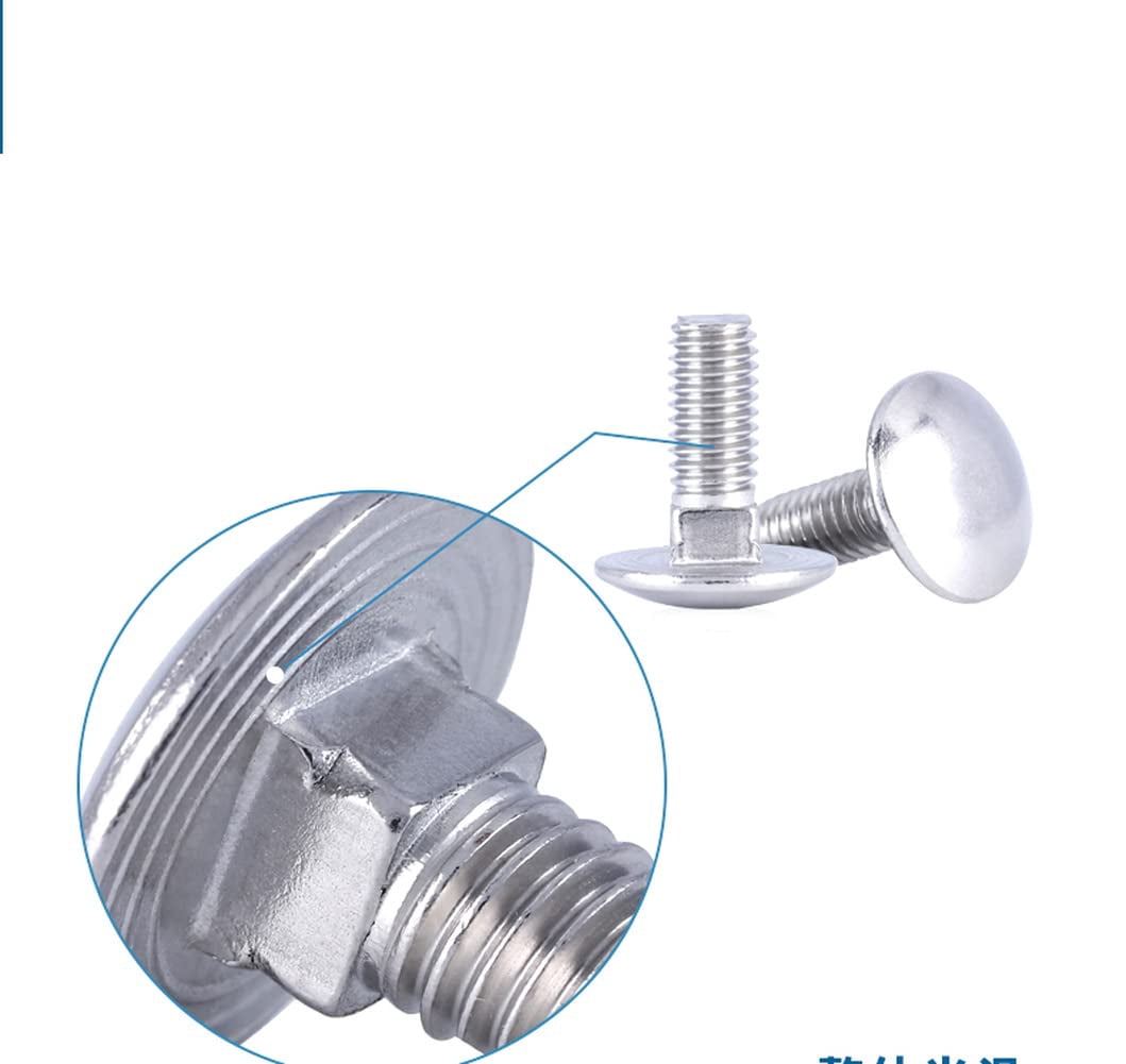 1 Pcs 304 Stainless Steel Big Head Carriage Bolt Screws M10x100mm.