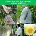 thumbnail image 3 of 100 Pcs Fruit Protection Bag Mesh Bag Against Insects Plant Protection Bag With Drawstring Anti-insect Mesh Bags Insect Bag 20*30cm10*15cm For Grapes,, 3 of 5