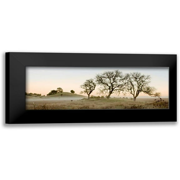 Blaustein, Alan 14x7 Black Modern Framed Museum Art Print Titled - Oak Tree - 32