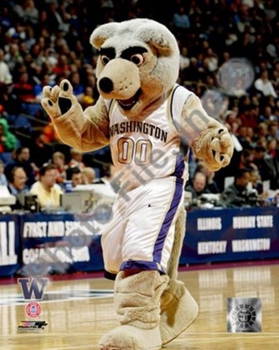 University of Washington - Huskies Mascot, 2004 Sports Photo - Walmart.com