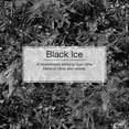thumbnail image 4 of Little Trees Black Ice Scent Car Spray Air Fresheners Non-Aerosol 3.5oz 2 PACK, 4 of 4