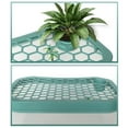 thumbnail image 7 of Walbest 1 Pack Reptile Feeding Box Anti Slip Slope Prevent Escaping Mini Fish Tank Turtle Habitat Container Aquarium for Turtle Tank, 7 of 7