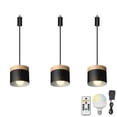 thumbnail image 1 of FSLiving Rechargeable Battery Operated Pendant Light with Sleeve&Round Hook RGB Mode Adjustable Wire Length Hanging Light Columnar Metal Black Shade Dimmable Lamp for Courtyard Nightstand - 3 Lights, 1 of 5