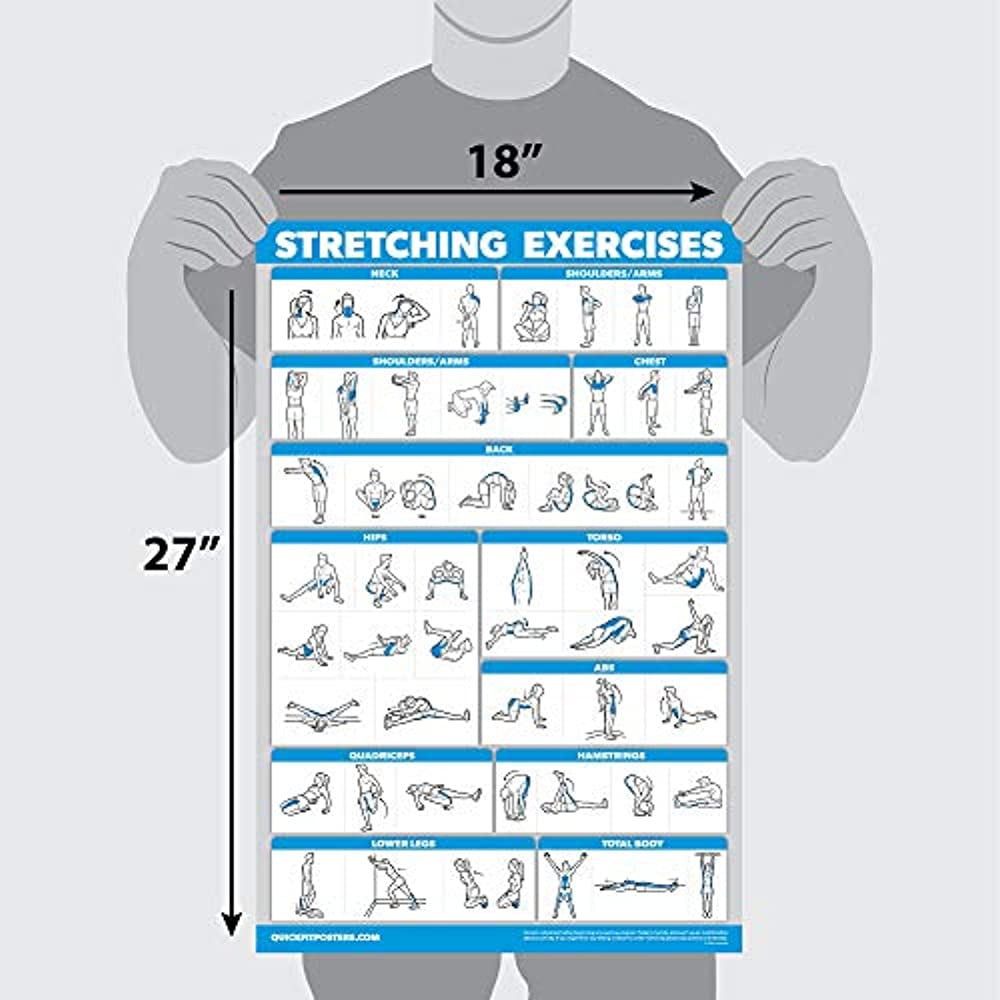 QuickFit Dumbbell Workouts and Bodyweight Exercise Poster Set Laminated 2 C... 
