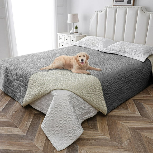 Tuffeel Couverture Imperméable pour Chien Housse de Canapé Antidérapante pour Animaux, Protecteur de Meubles contre les Chiens Lavable-82x102, Darkgrey
