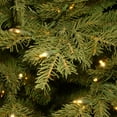thumbnail image 4 of National Tree Company 6.5 ft. Pre-Lit Feel Real® Full Artificial Christmas Tree, Green, Nordic Spruce®, 750 Clear Lights, Includes Stand, 4 of 5