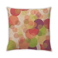 thumbnail image 1 of Ahgly Company Outdoor Square Contemporary Throw Pillow, 18 inch by 18 inch, 1 of 5