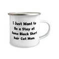 thumbnail image 2 of Reusable Black Short Hair Cat 12oz Camper Mug, I Just Want to Be a Stay at, Present For Cat Lovers, Sarcastic Gifts From Friends, Black short haired cat, Gift for black short haired cat, Present for, 2 of 2