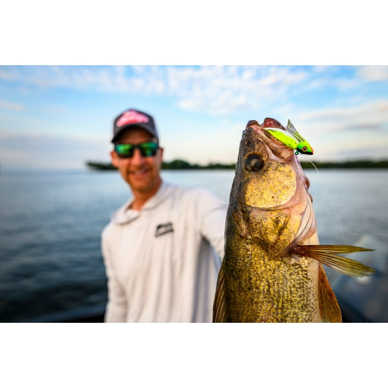 aziz fish hook Zappu RPZ Talisman System Hook