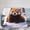 50x40, variant on Cute Red Panda Blanket, Adorable Baby Red Panda in Snow, Soft Cozy Animal Throw Blanket, Winter Forest Wildlife Gift for Animal Lovers 50x40
