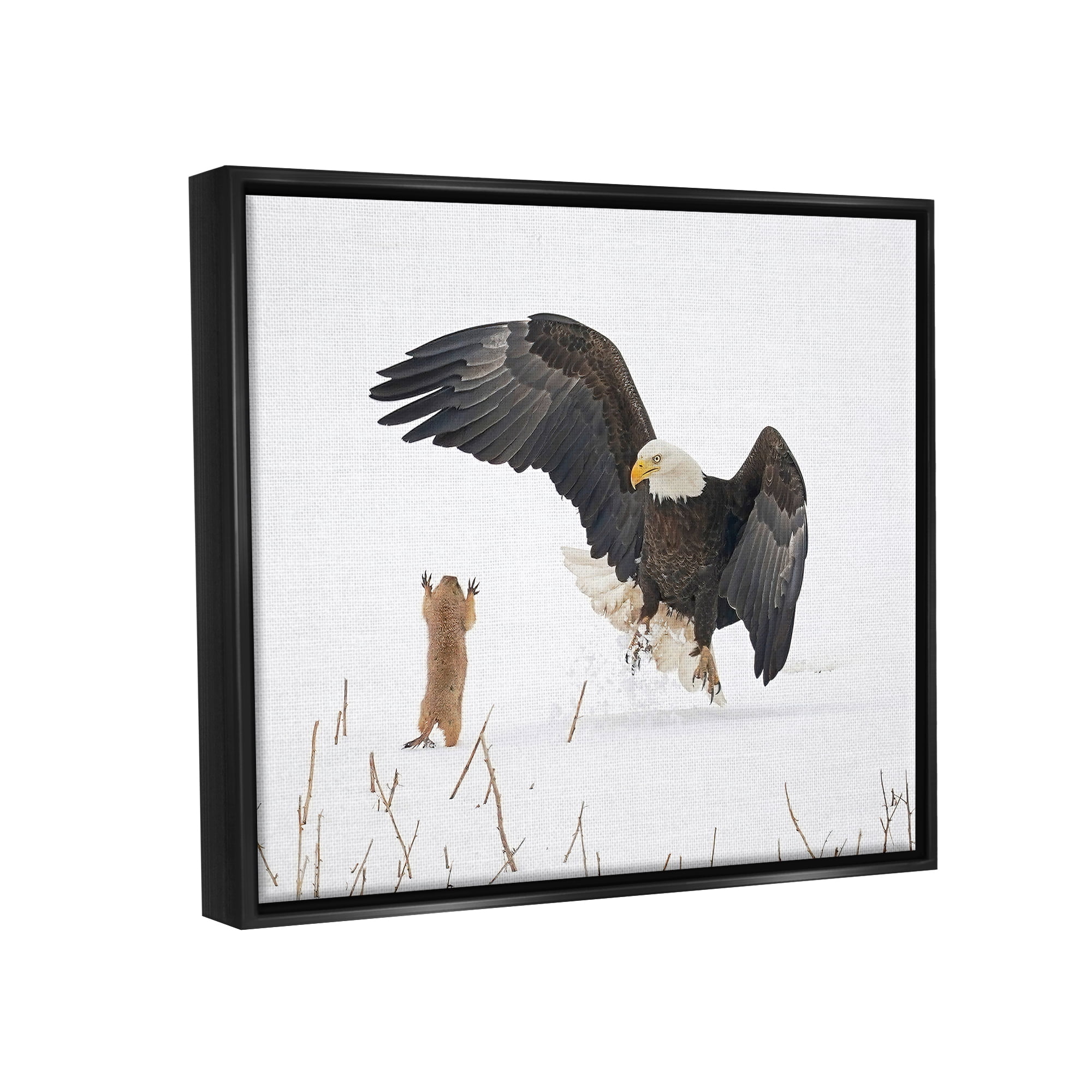Stupell Industries Prairie Dog & Eagle Animals & Insects Photography Black Floater Framed Canvas Art Print Wall Art, 31 x 25