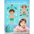thumbnail image 6 of Doctor Kit for Kids Realistic, 36PCS Kids Doctor Kit Wooden, Doctor Pretend Playset, 6 of 10