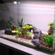 thumbnail image 4 of Se utiliza para la decoración de acuarios y peceras, plantas de acuario y plantas artificiales., 4 of 5