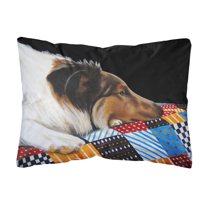 Carolines Treasures AMB1037PW1216 Day Dreamer Collie Fabric Decorative Pillow 12H x16W multicolor