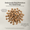 thumbnail image 5 of GF pour Adulte - Nourriture Sèche pour Chien, 5 of 5