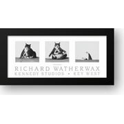 FrameToWall - Fat Cat Capsizing 29x15 Framed Art Print by Watherwax, Richard