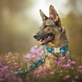 thumbnail image 4 of Didog Personalized Dog Collar and Leash set Pet Name ID Number Engraved Soft Padded Nylon, 4 of 6