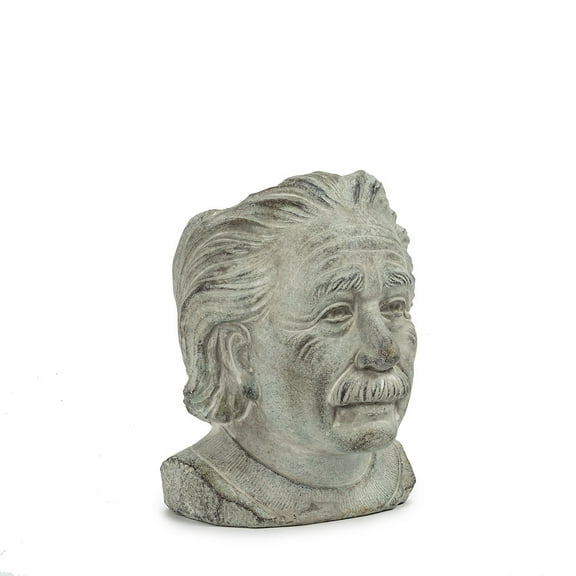 Set of 4 Small Einstein Head Planter