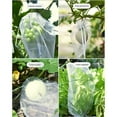 thumbnail image 4 of Multipurpose Orchards Protections Bags Breathable Polyester Meshes Storage Bag for Fruit Preservation Bird Birds Barrier, 4 of 8