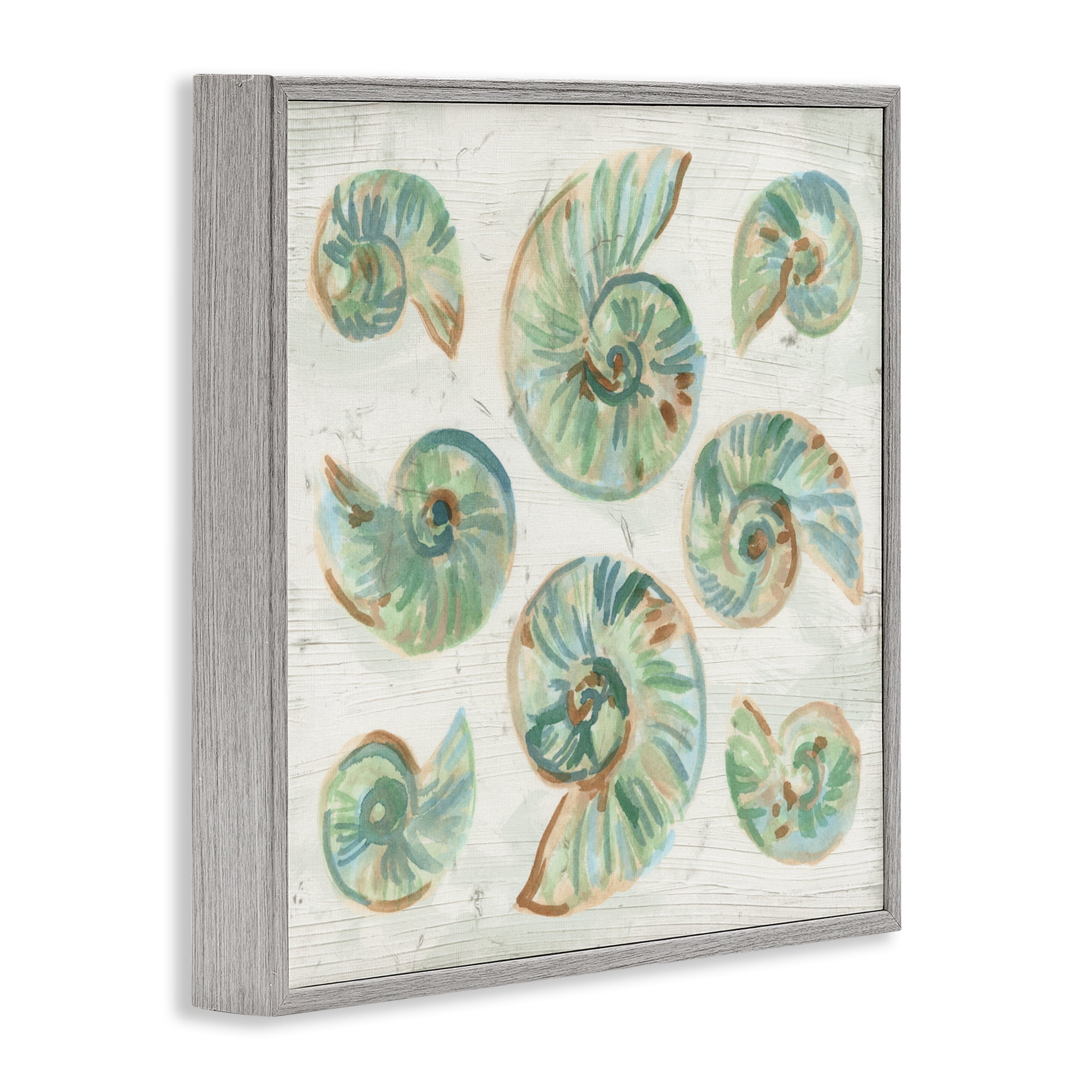 Stupell Industries Organic Saltwashed Shells Gray Framed Giclee Art, design by June Erica Vess
