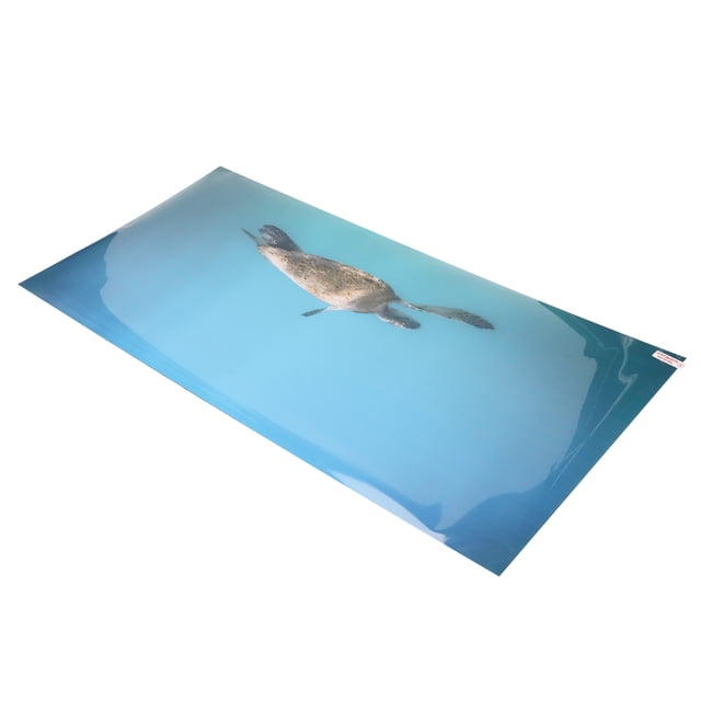 Fish Tank Decoration Sticker,Aquarium Background Paper PVC Aquarium Background Paper Fish Tank Decoration Poster High-Intensity Output